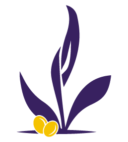 plantaseed-toplogo Plant and Seed Graphic