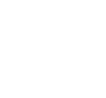 White Globe Icon