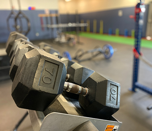 Weights